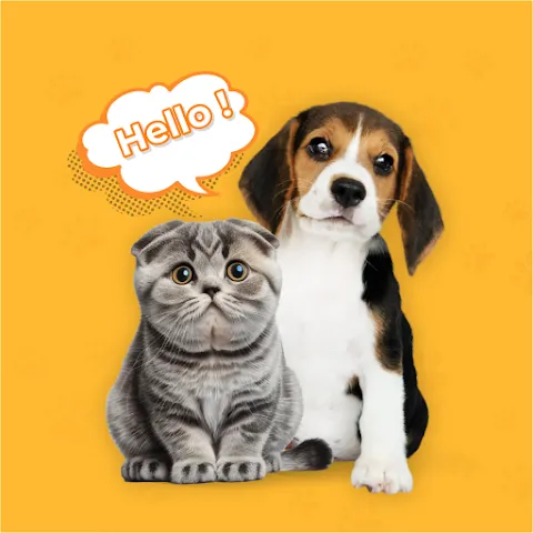 Dog & Cat Translator Prank Appの商品画像