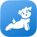 Down Dogの商品画像