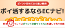 ECナビアンケートの商品画像