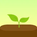 Forest - 集中力を高めるの商品画像