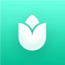 PlantInの商品画像