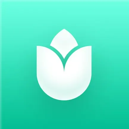 PlantInの商品画像