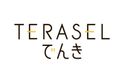 TERASELでんきの商品画像