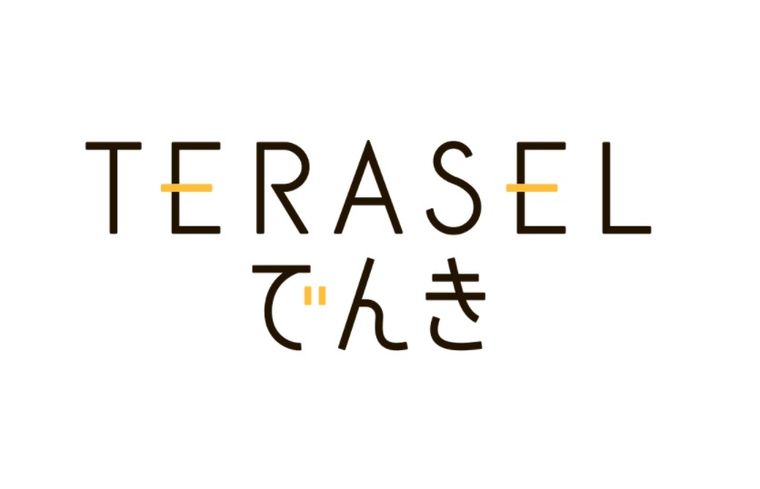 TERASELでんきの商品画像