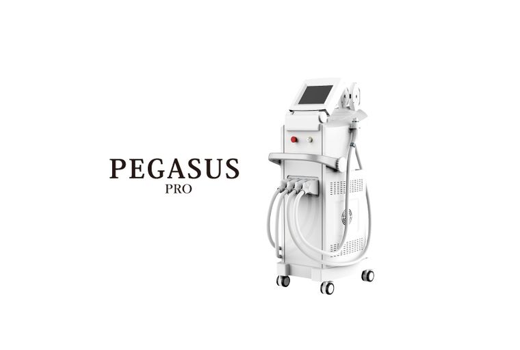 PEGASUS Pro（ペガサス・プロ）の商品画像