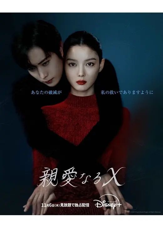 親愛なるXの商品画像
