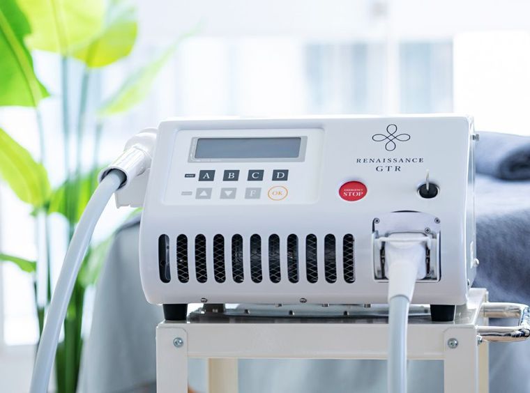 Renaissance GT-R（ルネッサンスGT-R）の商品画像