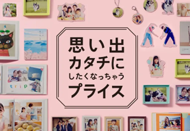 しまうまプリントの商品画像