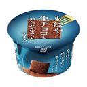 もはや生チョコを凍らせたようなアイスの商品画像