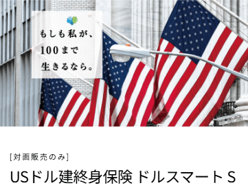 USドル建終身保険ドルスマート Sの商品画像