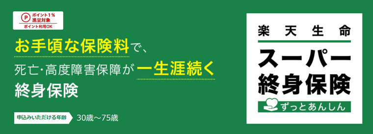 終身保険RISE [ライズ]の商品画像