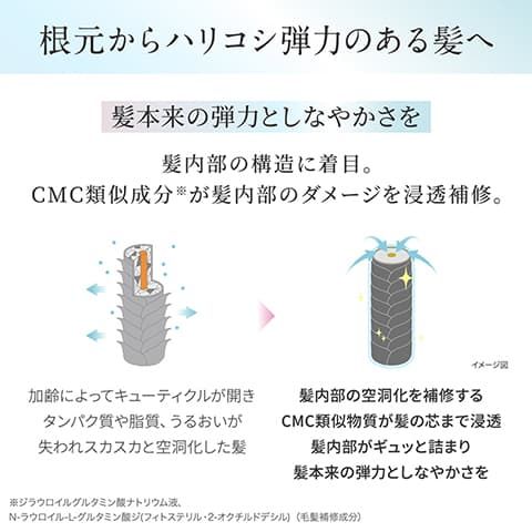 スカルプD ボーテ 薬用スカルプシャンプー ボリュームの商品画像