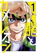 龍とカメレオンの商品画像