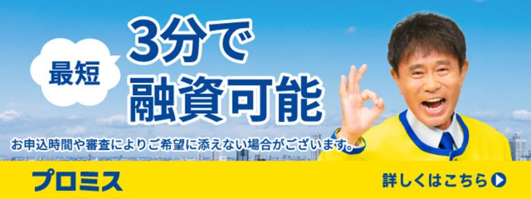 プロミスの商品画像